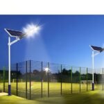 Solar LED Street Light with 50W to 300W Panels for Roads in Saudi Arabia IP65 Rated Cobrap Cobrac Separately Designed