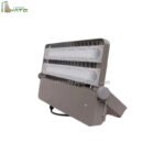 Led Floodlight up to 300w IP66 BVP163 Outdoor Led Module Reflector Park Country Yard Ac100-277v 5 Years Warranty Outdoor Lamp