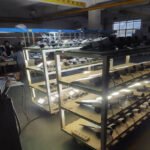 Chepaer Sword Led Street Light for Village Lighting IP65 80W 100W 120W 150w 200w with Photocell No Photocell Ip65