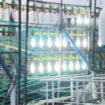 Good Price 3000w Metal Halide Lamp Underwater Fishing Lamp Luring Squid Signal Lamp