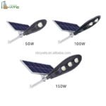 Solar LED Street Light with 50W to 300W Panels for Roads in Saudi Arabia IP65 Rated Cobrap Cobrac Separately Designed